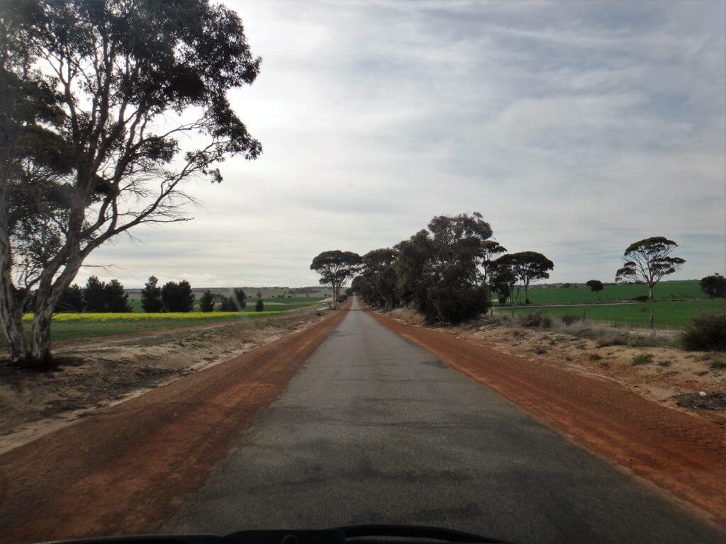 road to wave rock