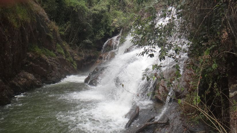 Ein Wasserfall, der über Felsen in einen grünen Fluss fließt, umgeben von Bäumen und Pflanzen.