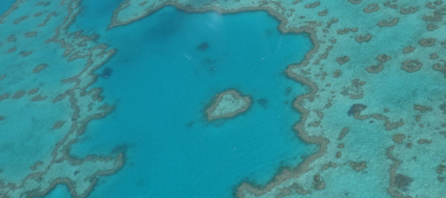 Heart Reef