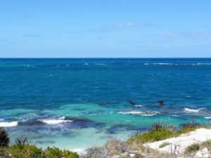 Rottnest Island