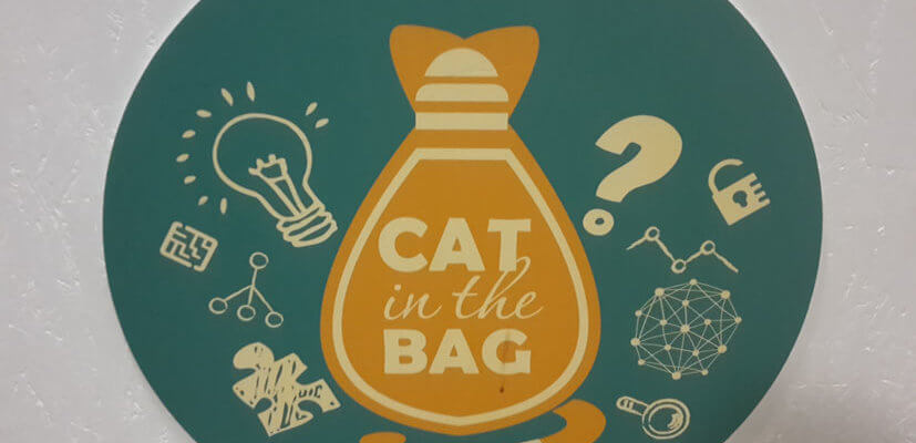 EscapeGame Cat in the Bag Berlin