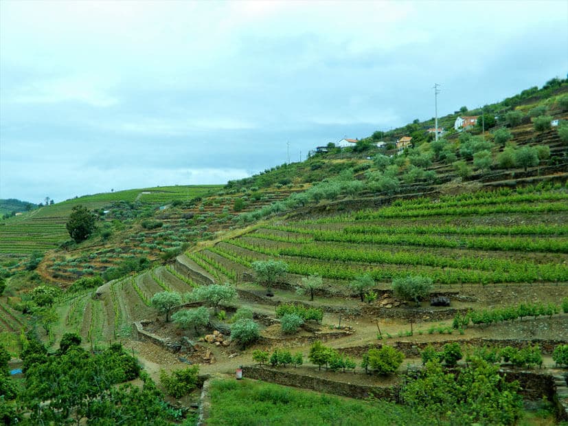 Douro Region - 3 Wochen Portugal