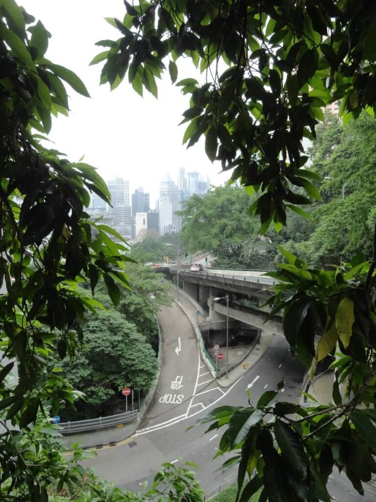 grünes hongkong