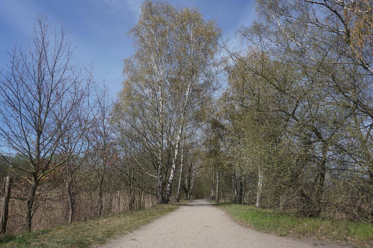 Karower Teiche Berlin ein erholsamer Ausflug ins Grüne