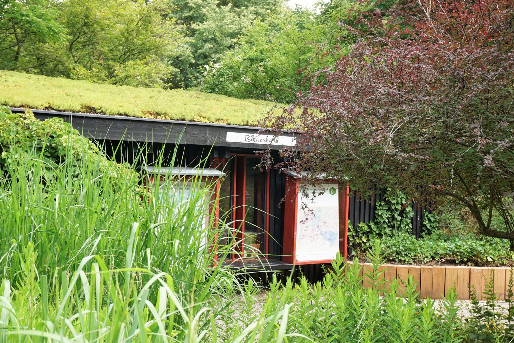 Britzer Garten Berlin Grüne Oase in der Hauptstadt entdecken