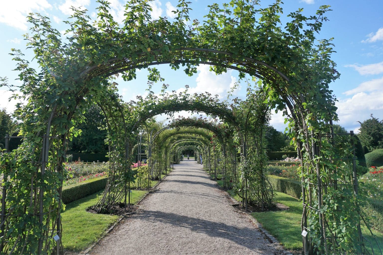 Britzer Garten Berlin Grüne Oase in der Hauptstadt entdecken