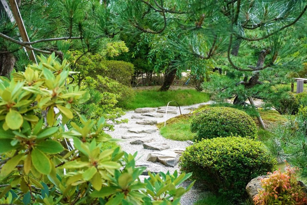 japanischer Bonsaigarten Ferch