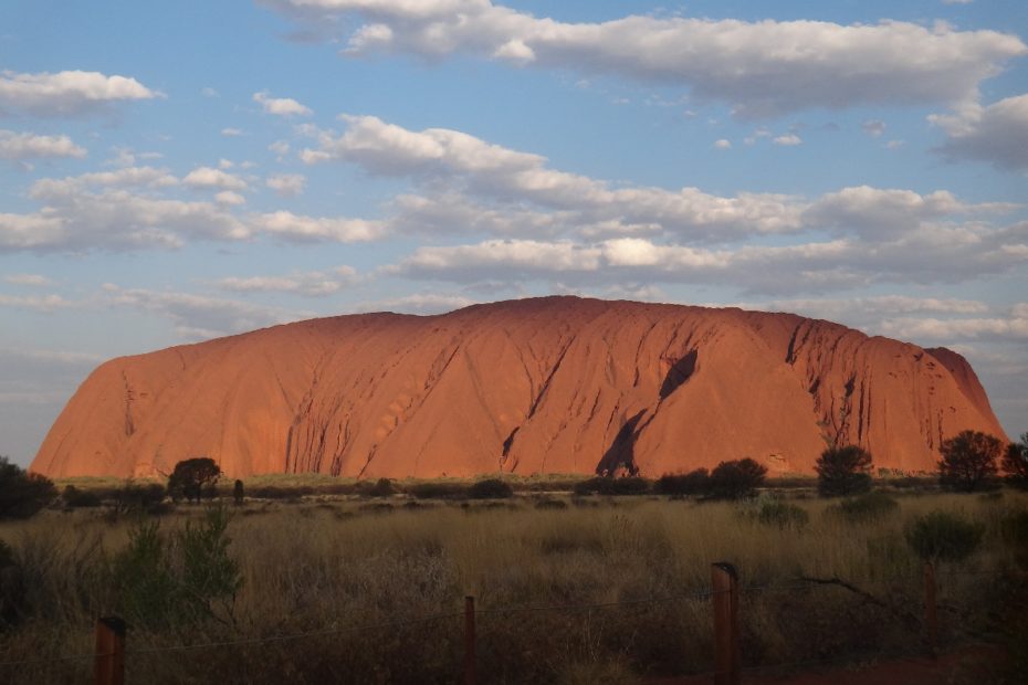 Uluru, ein großer roter Felsen in Australien, umgeben von Gras und Büschen unter einem bewölkten Himmel.