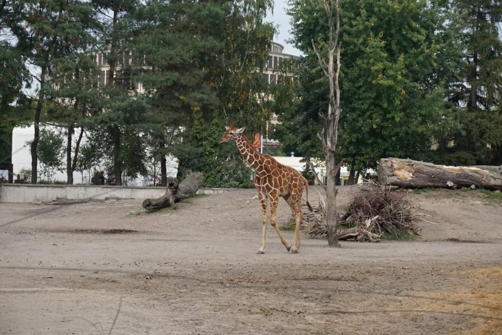 Breslauer Zoo