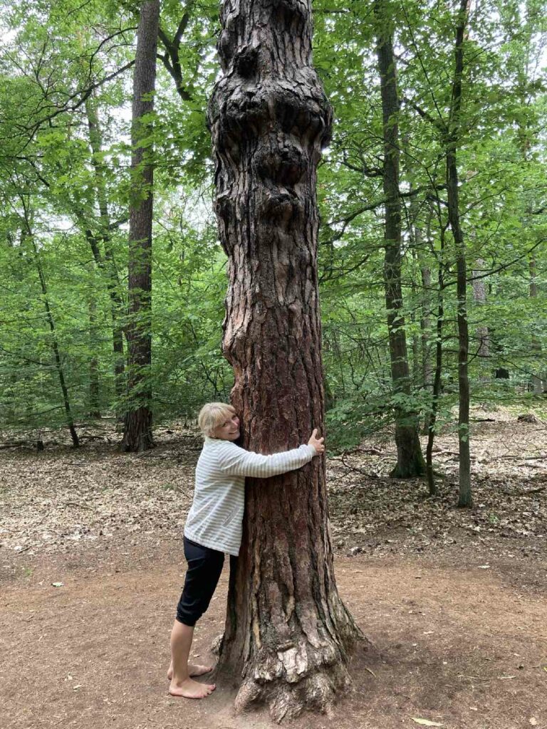 Grumpy Tree Hug