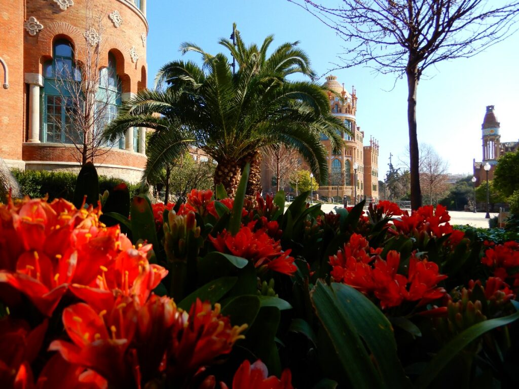 Garten  Sant Pau