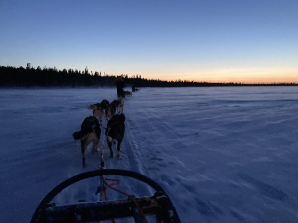 Abend-Huskytour Lappland