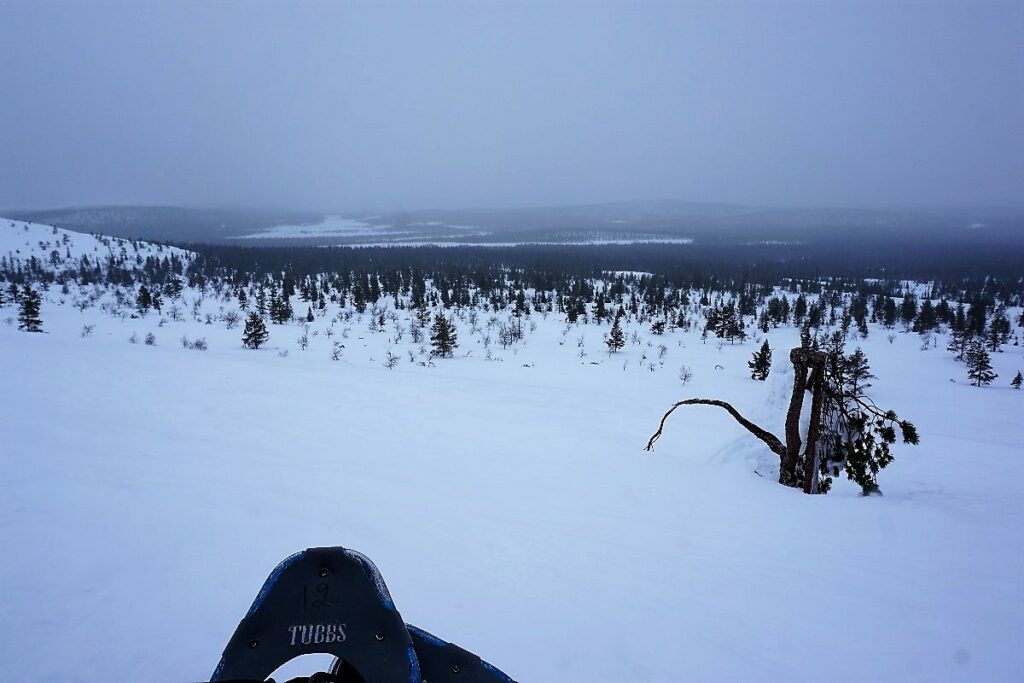 Schneeschuhwanderung in Lappland
