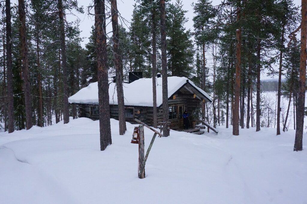 Blockhütte im Wald