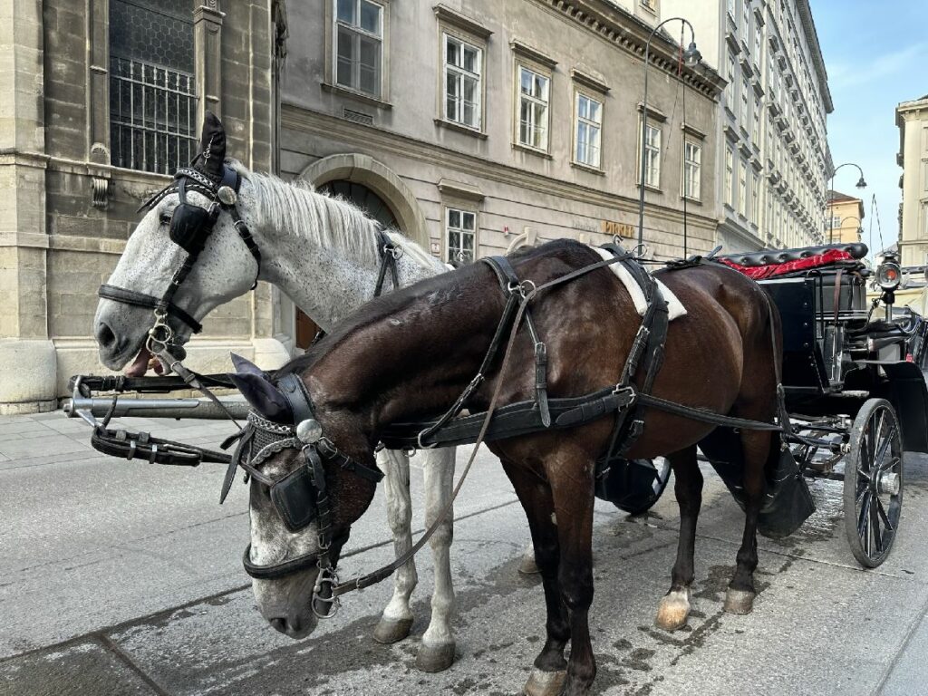 Kutsche in Wien