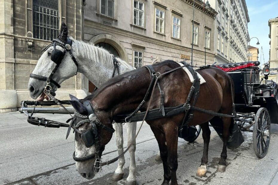 Fiaker Fahrt Wien