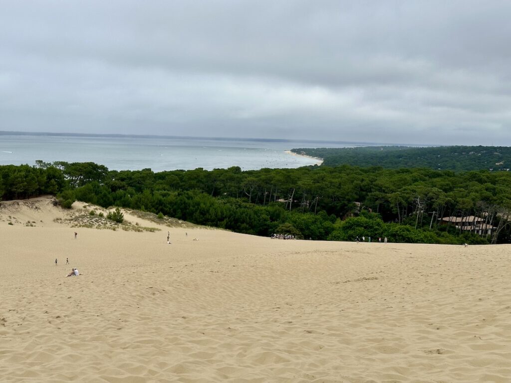 Meer, Wald und Düne