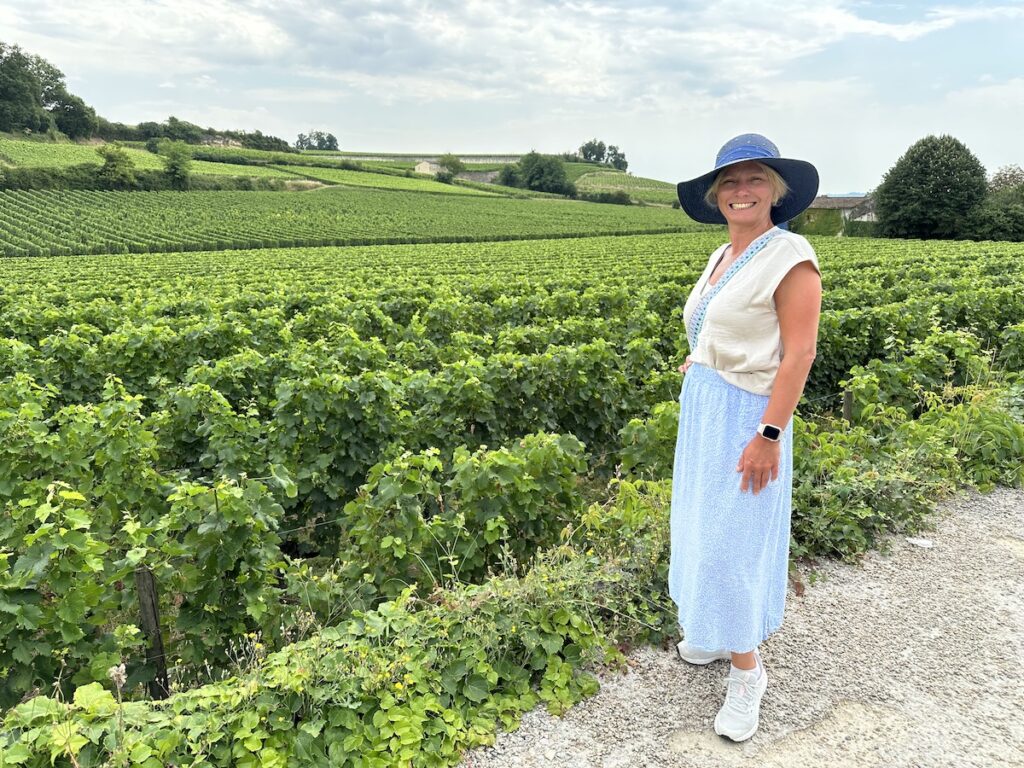 Weinlandschaft