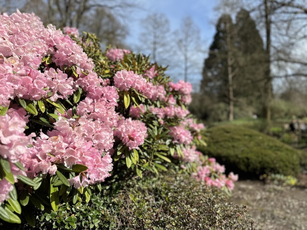 Planten un Blomen Park