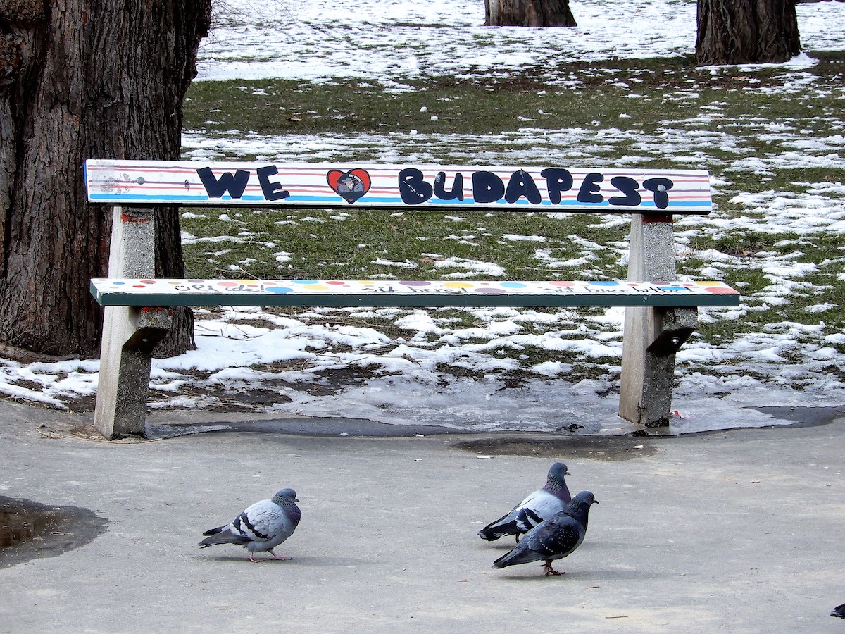 Budapest im Winter