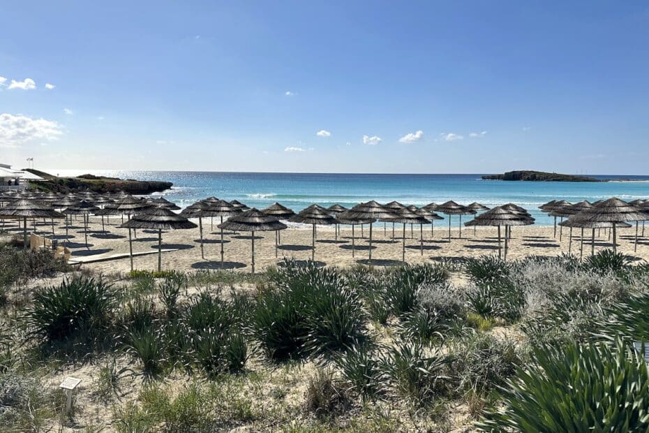 Strandbereich mit mehreren Sonnenschirmen und klarem Wasser im Hintergrund.