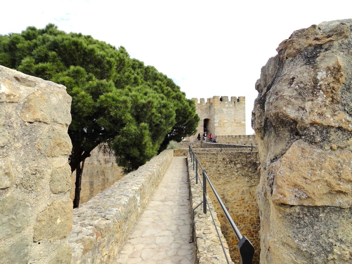 Blick auf eine Burgmauer mit einem Turm und einer großen Baumkrone im Hintergrund.