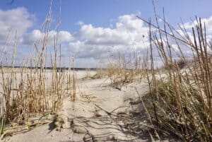 Sanddüne mit trockenen Gräsern und einem klaren Himmel mit Wolken über dem Strand.