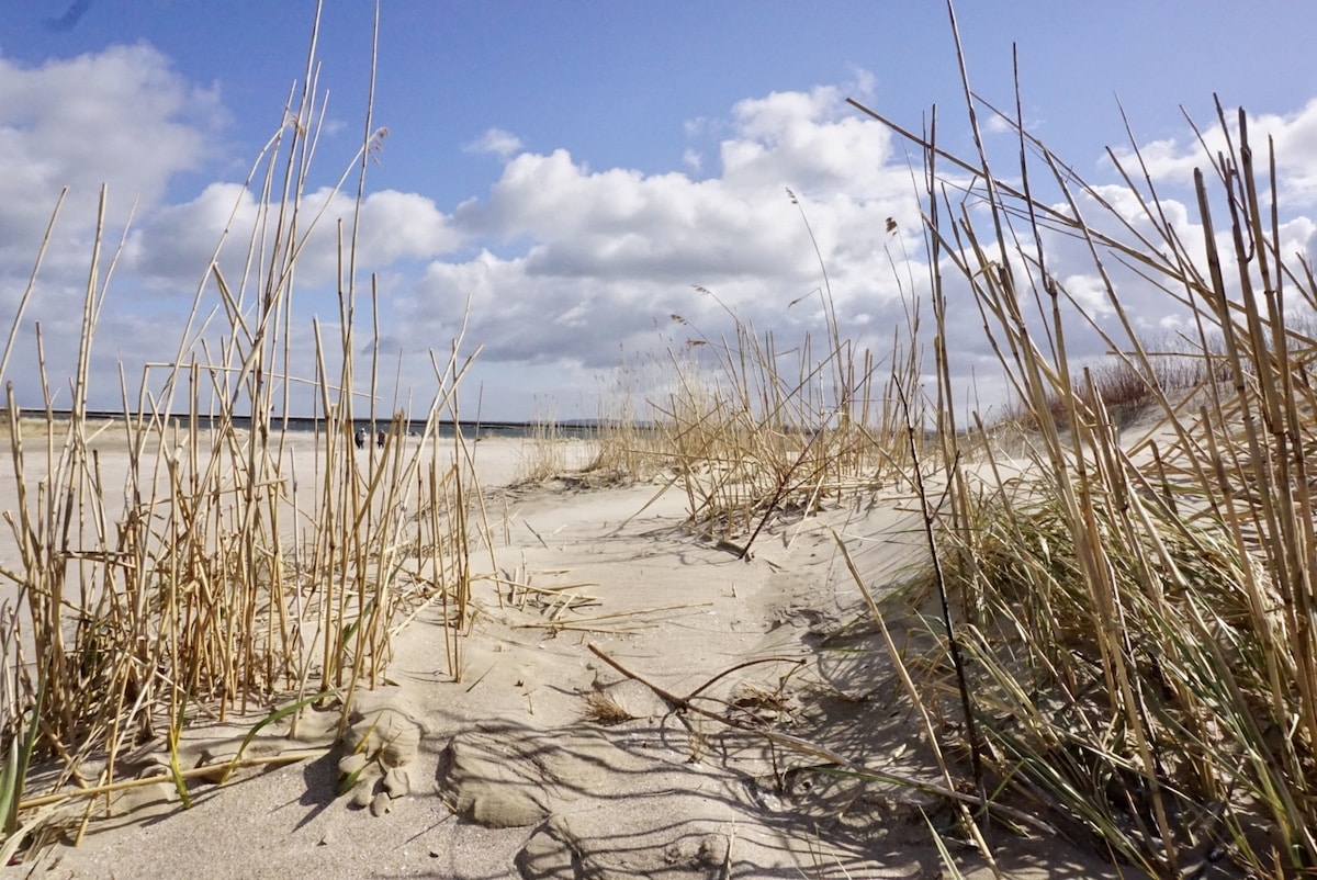 Sanddüne mit trockenen Gräsern und einem klaren Himmel mit Wolken über dem Strand.