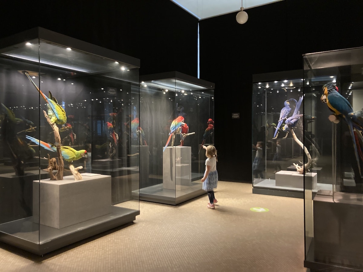 Naturkundemuseum Berlin mit Kindern