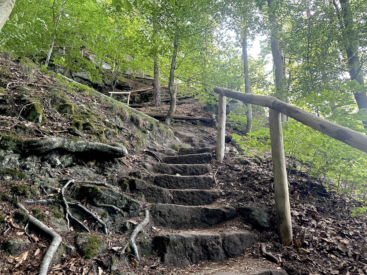 Erster Aufstieg Etappe 2 im Wald mit Stufen