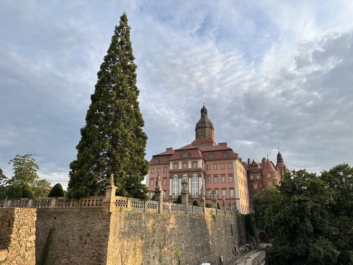 Historisches Schloss mit rosa Fassade und Türmen, umgeben von Bäumen und einem klaren Himmel.