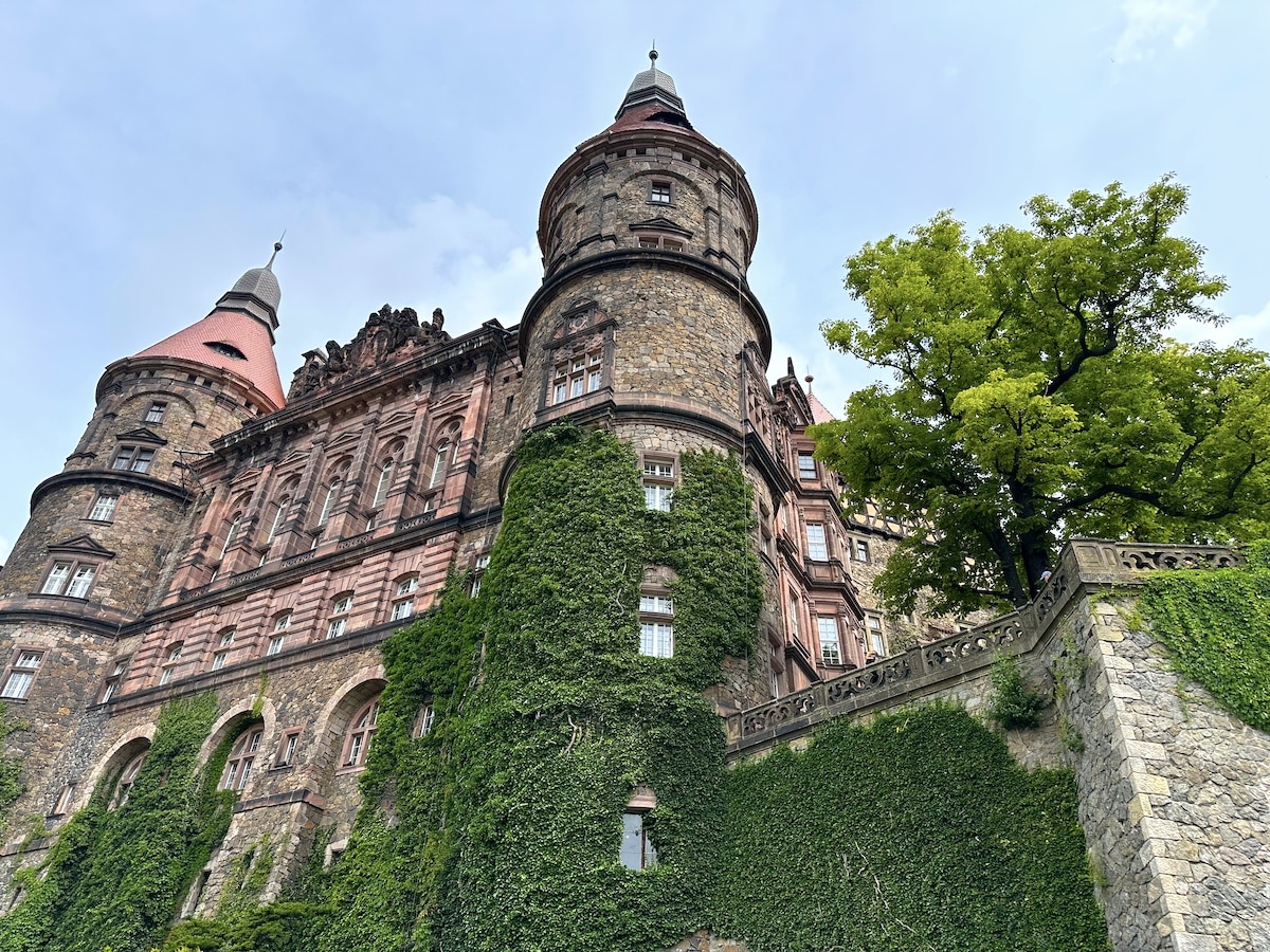 Historische Burg mit Türmen, die von grünem Efeu bewachsen ist, unter einem klaren Himmel.
