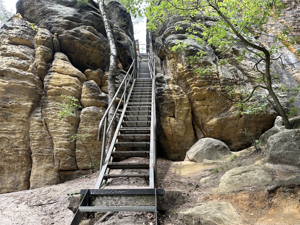 Stahltreppe, die zwischen hohen Felsen in einem Wald aufsteigt.