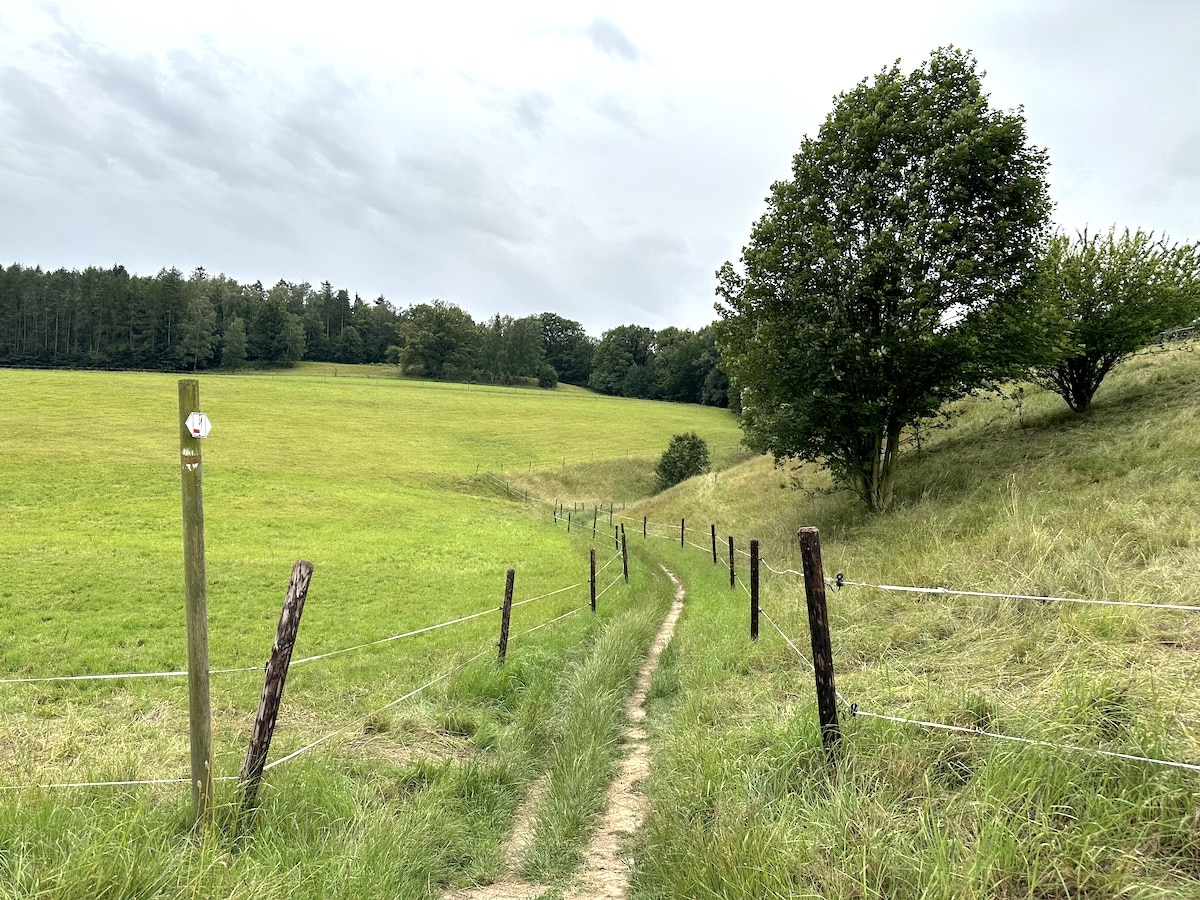 Wiesenabschnitt auf Etappe 8