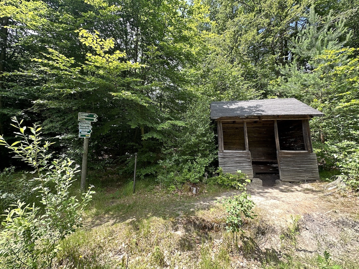 Eine Holzhütte im Wald mit einem Wegweiser in der Nähe, umgeben von Bäumen und Sträuchern.