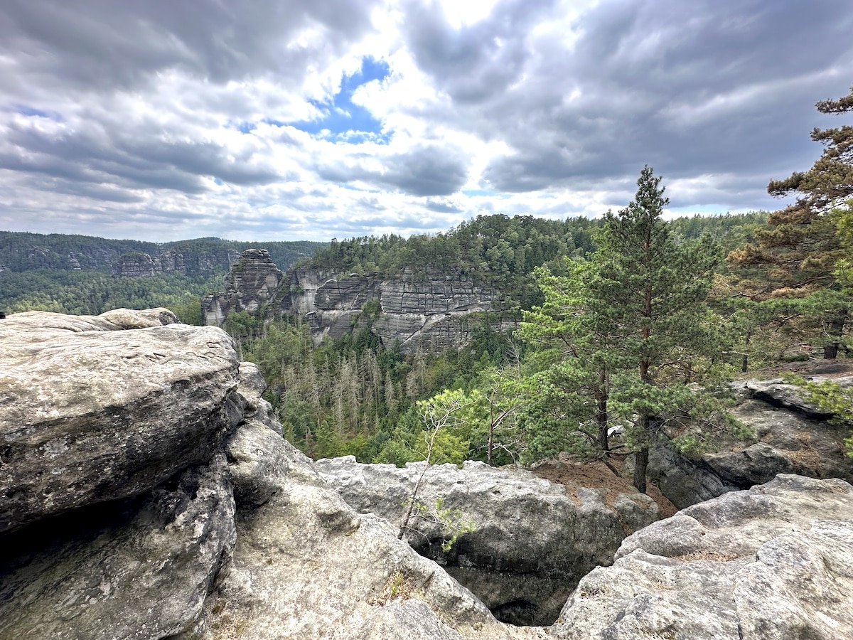 Felsenlandschaft mit Bäumen und Wolken im Nationalpark Sächsische Schweiz.