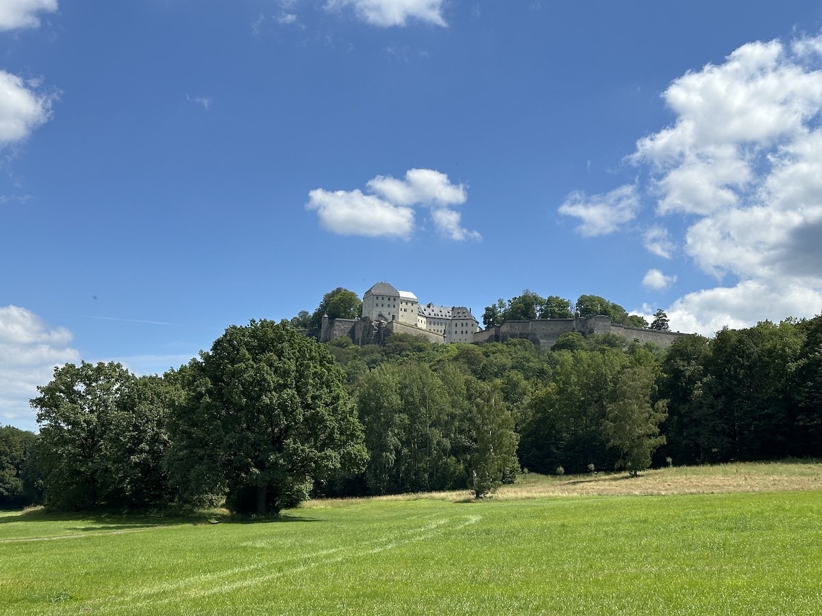 Eine Burg auf einem Hügel, umgeben von Bäumen und einer Wiese unter einem blauen Himmel mit Wolken.