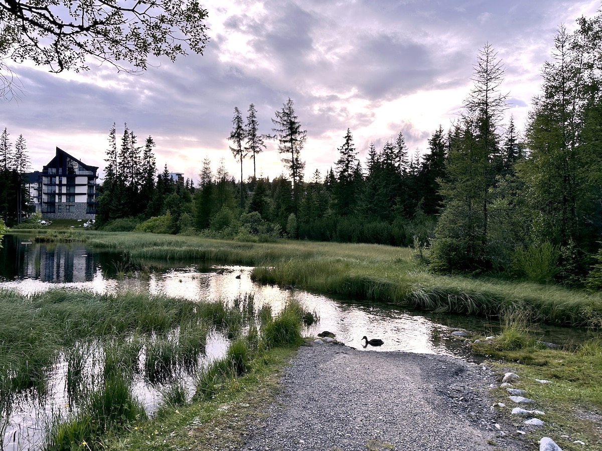 Zwei Enten am Ufer eines ruhigen Gewässers mit Bäumen im Hintergrund.