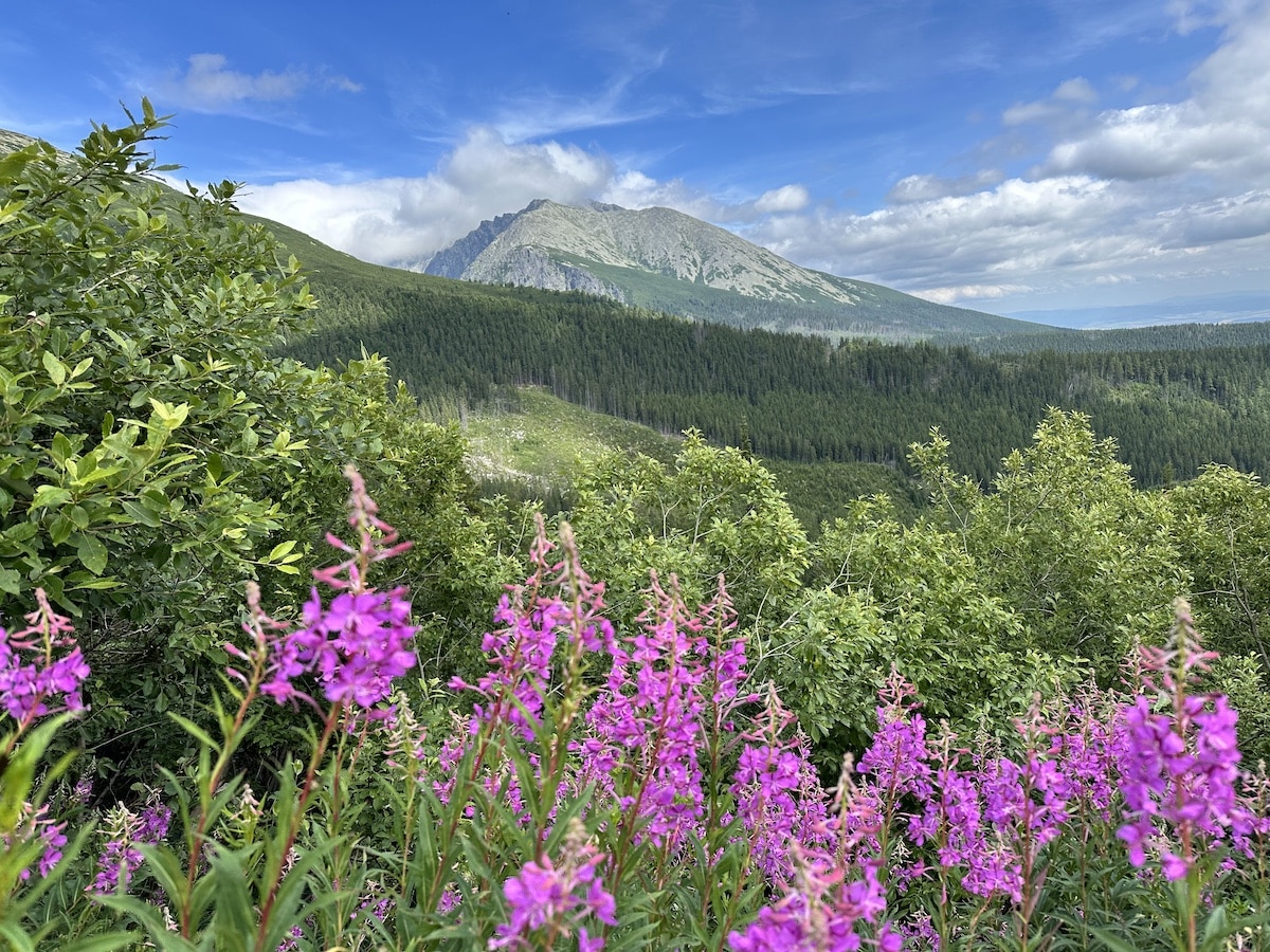 Wanderung ins Tal