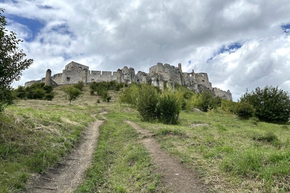 Ruine einer alten Burg auf einem Hügel, umgeben von Gras und Bäumen unter einem bewölkten Himmel.