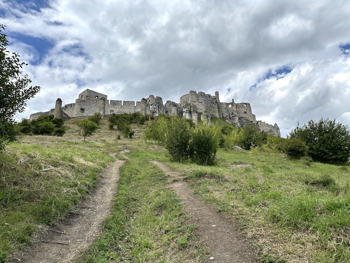 Ruine einer alten Burg auf einem Hügel, umgeben von Gras und Bäumen unter einem bewölkten Himmel.