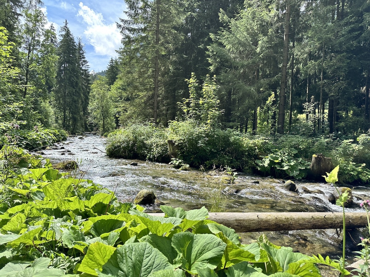 Demänovská-Tal bei Jasná