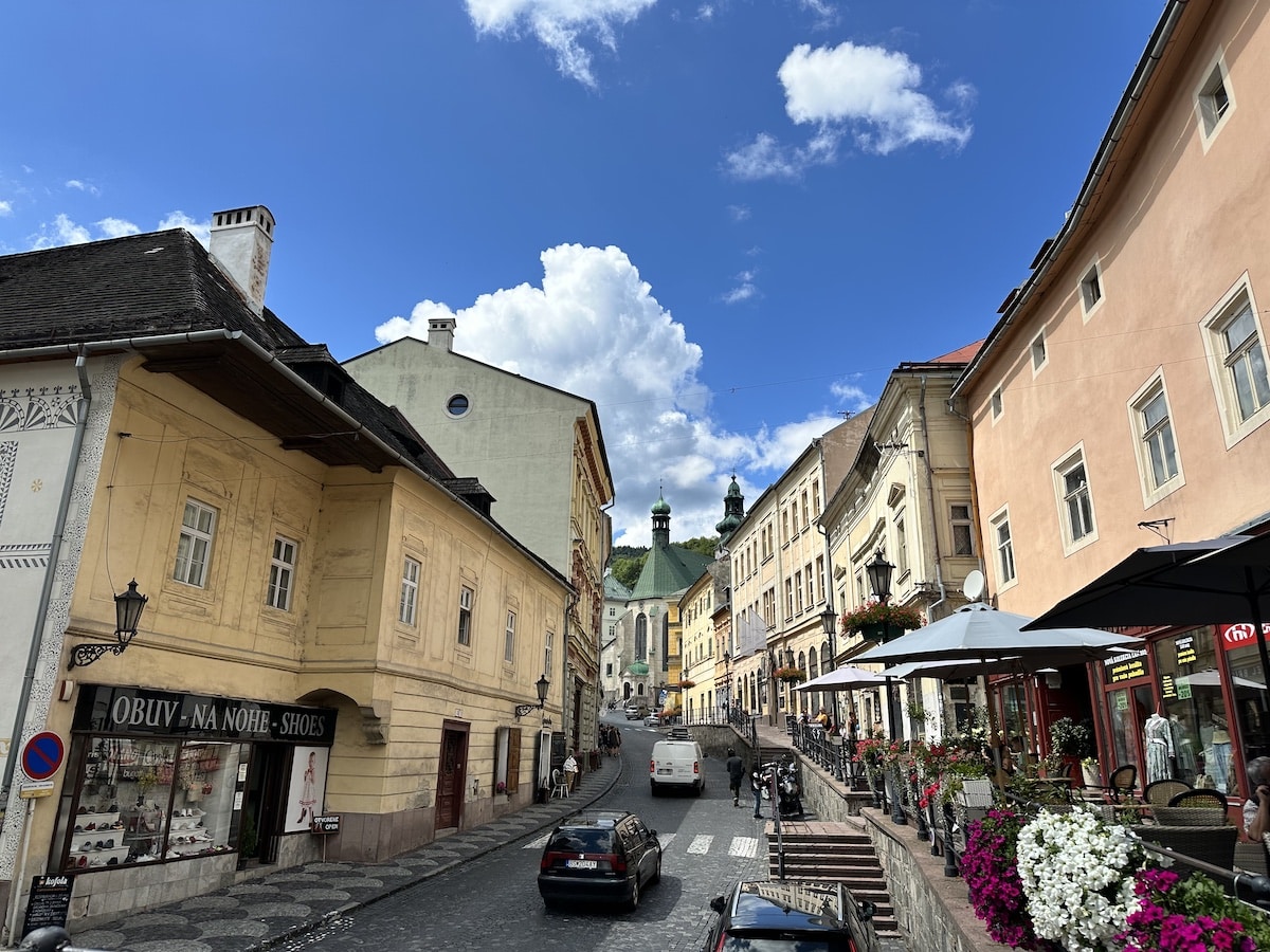 Blick auf eine gepflasterte Straße mit historischen Gebäuden und Wolken im Hintergrund.