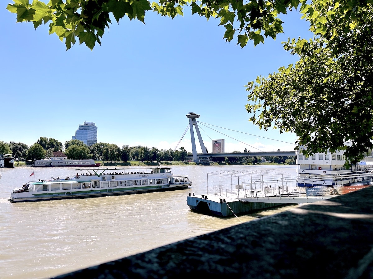Ein Passagierschiff fährt auf einem Fluss mit einer Brücke im Hintergrund und Bäumen im Vordergrund.