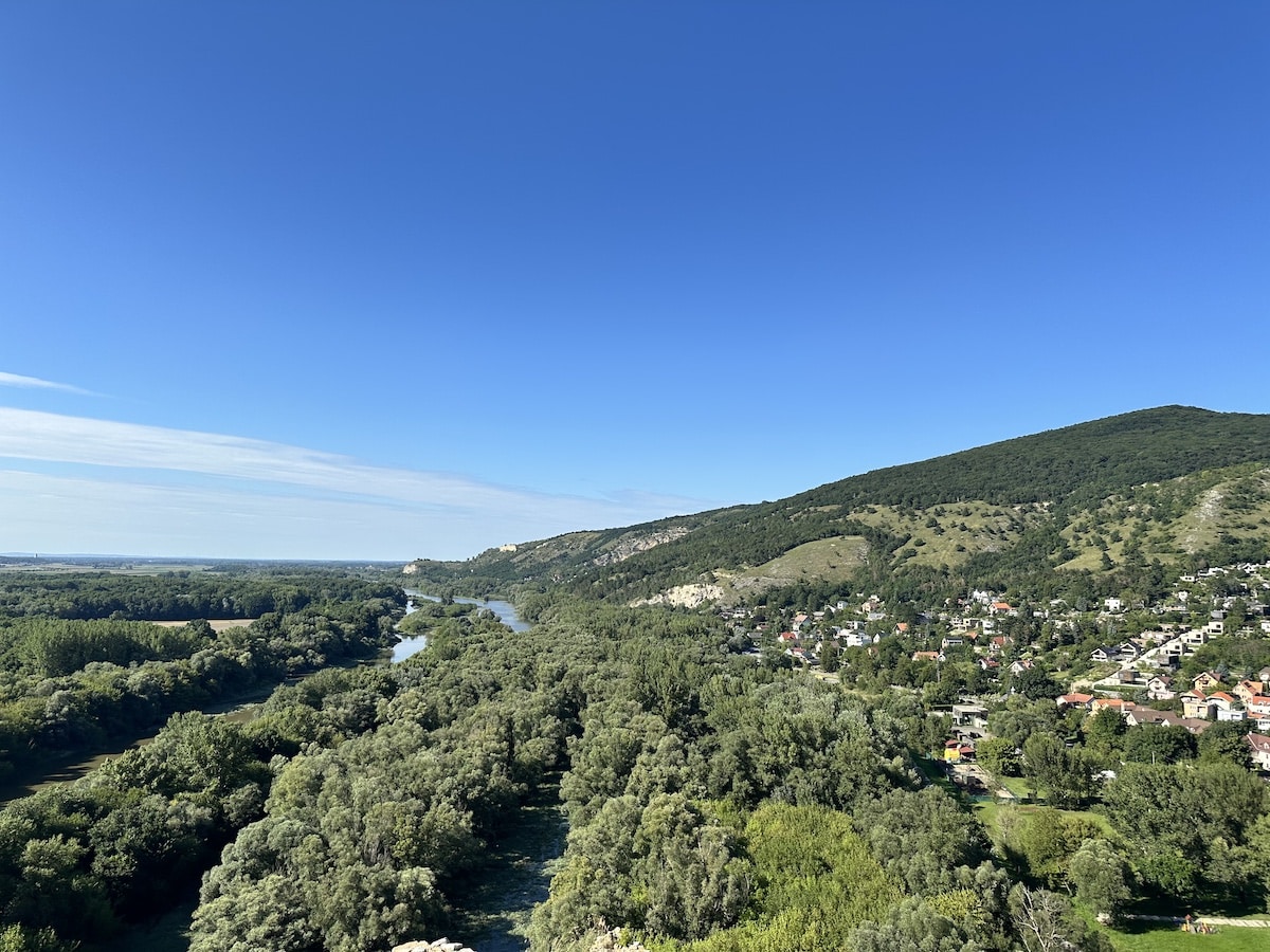 Blick auf eine grüne Landschaft mit einem Fluss und Hügeln im Hintergrund unter blauem Himmel.