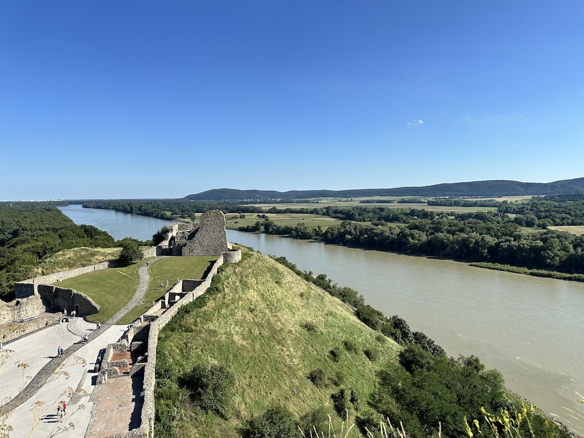 Blick auf eine Burgruine auf einem Hügel neben einem breiten Fluss und grünen Wiesen.
