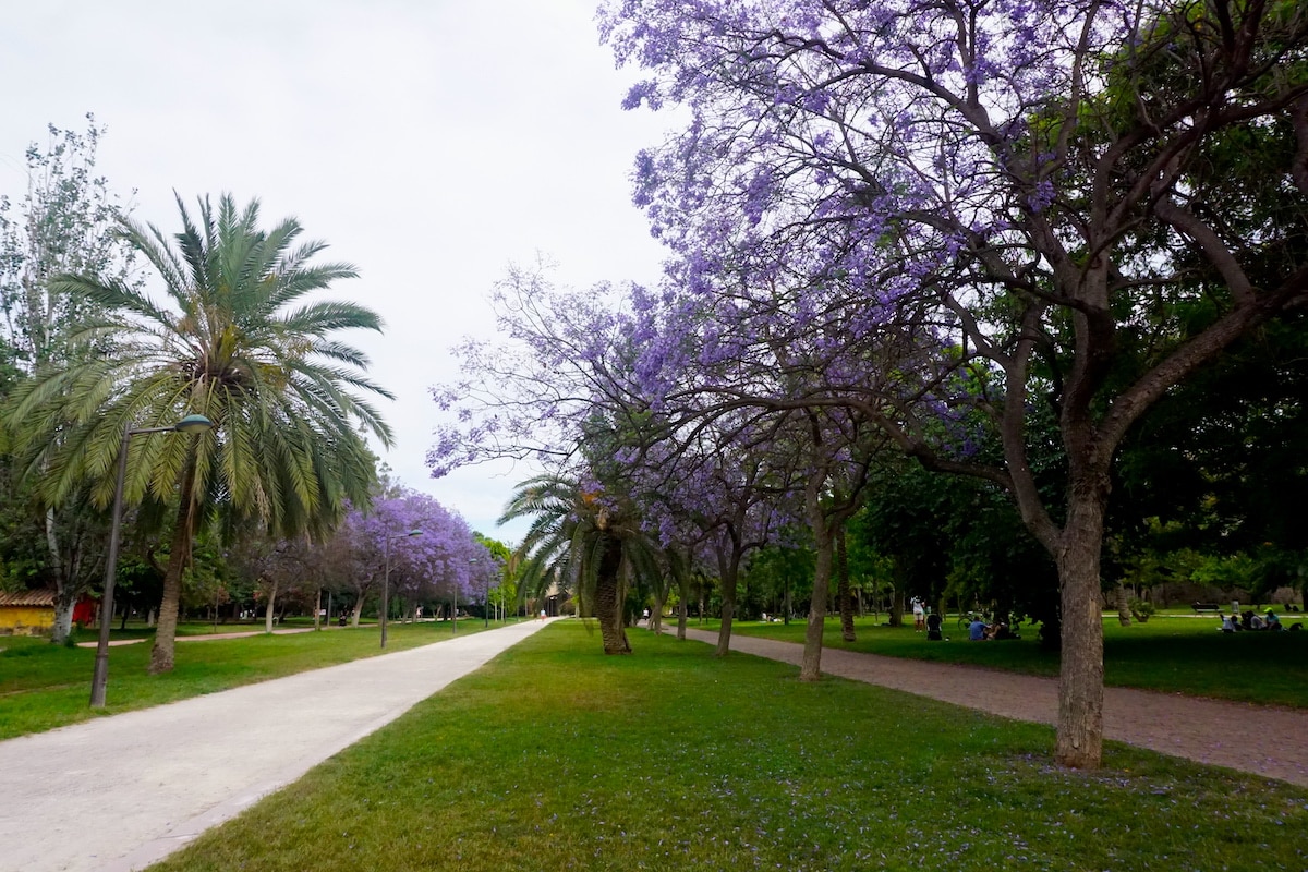 Turia Park Valencia