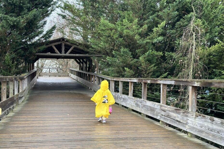 Ein Kind in einem gelben Regenmantel geht über eine Holzbrücke in einem bewaldeten Bereich.