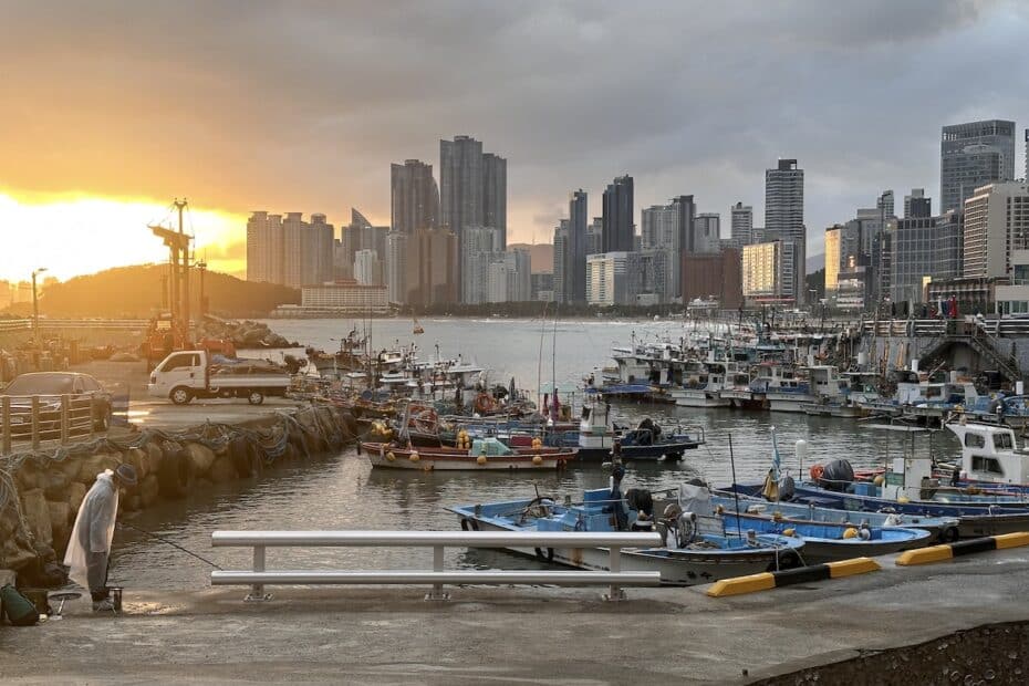 Hafen mit mehreren Fischerbooten und einer Skyline im Hintergrund während des Sonnenuntergangs.
