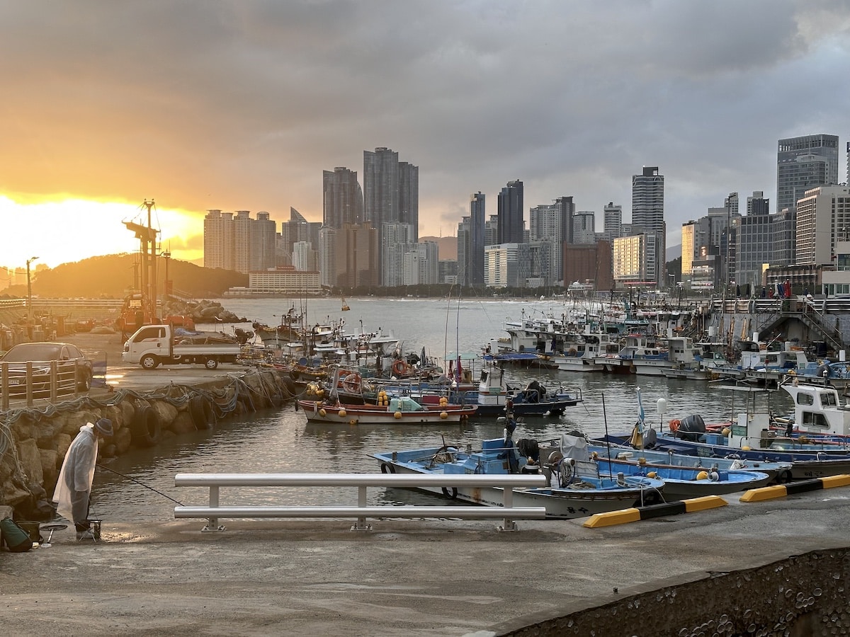 Hafen mit mehreren Fischerbooten und einer Skyline im Hintergrund während des Sonnenuntergangs.